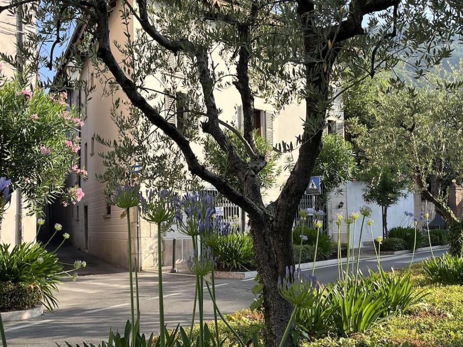 La Piccola Casa Al Lago - Intera Casa Con 3 Camere E 2 Box Сало Екстер'єр фото